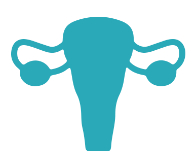 Genital (Feminino)