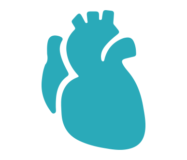 Cardiovascular