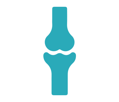 Sistema Musculoesquelético